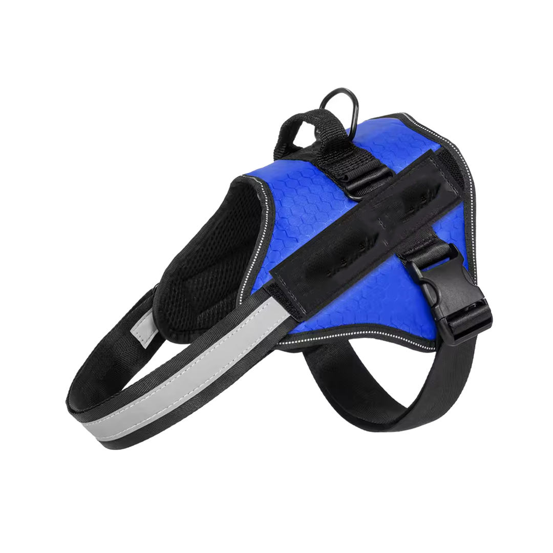 Buy 2 Get 2 Free - Harness